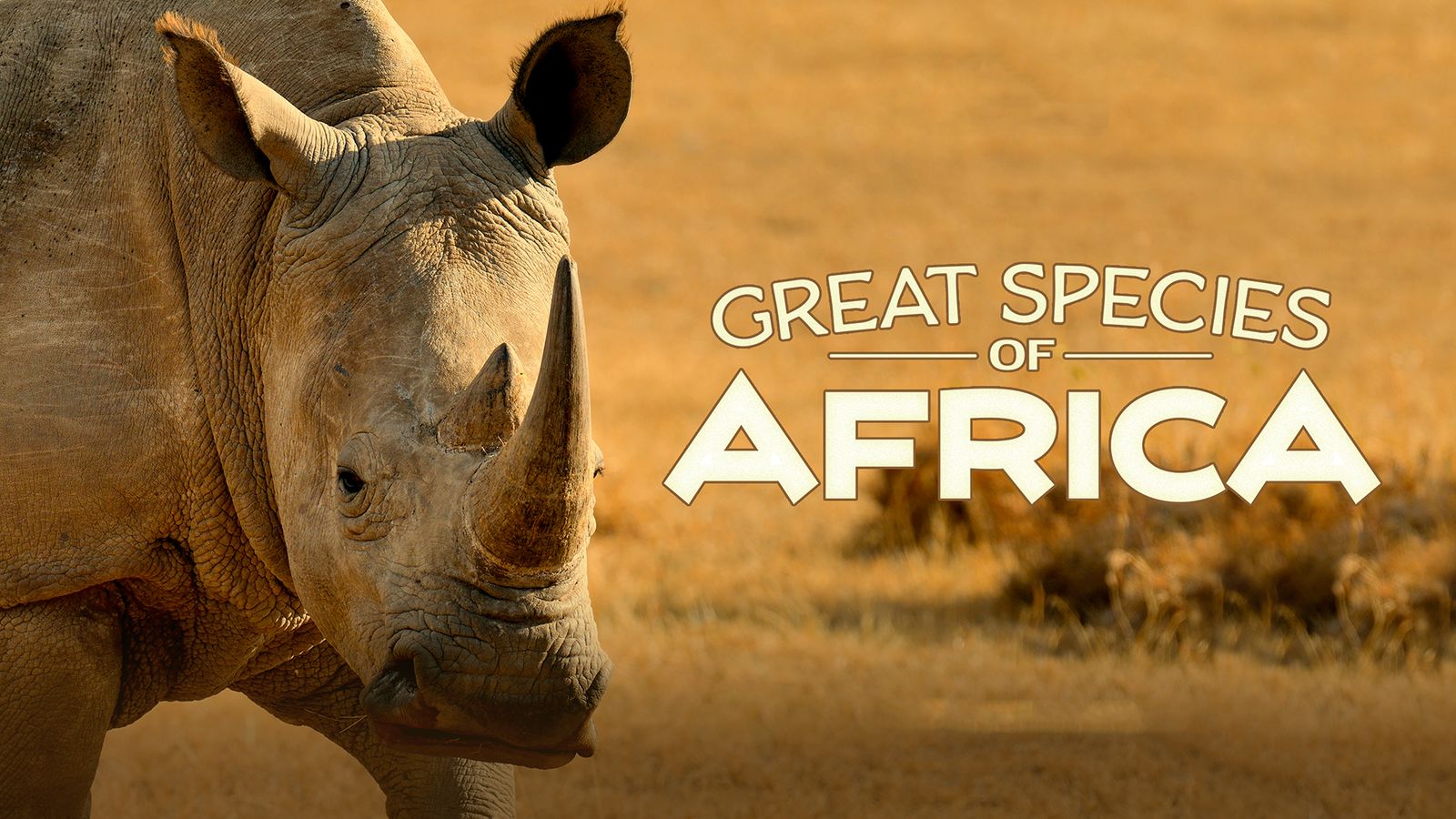 Африка: Континент велетнів